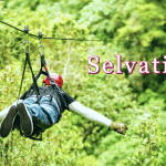 Exploring the Wonders of Selvatica: A Nature Lover’s Paradise